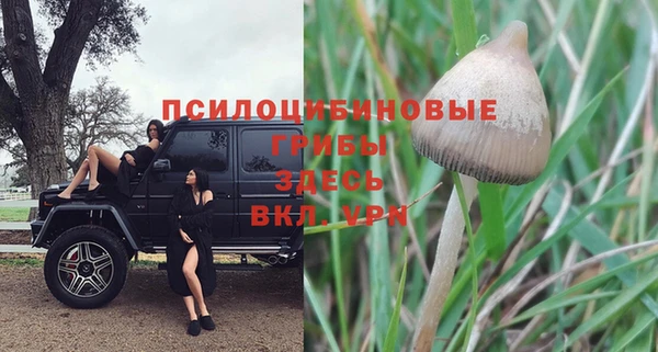 эйфоретик Медногорск
