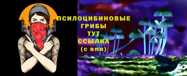эйфоретик Медногорск