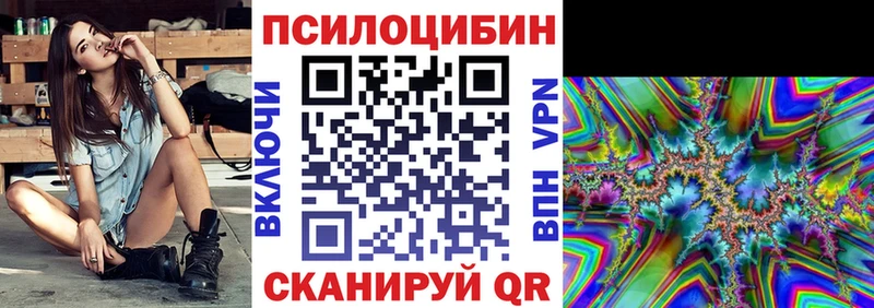 Псилоцибиновые грибы Psilocybe  закладки  Ижевск 